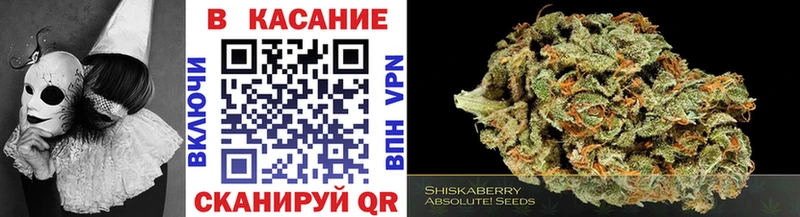 Alpha PVP Балтийск