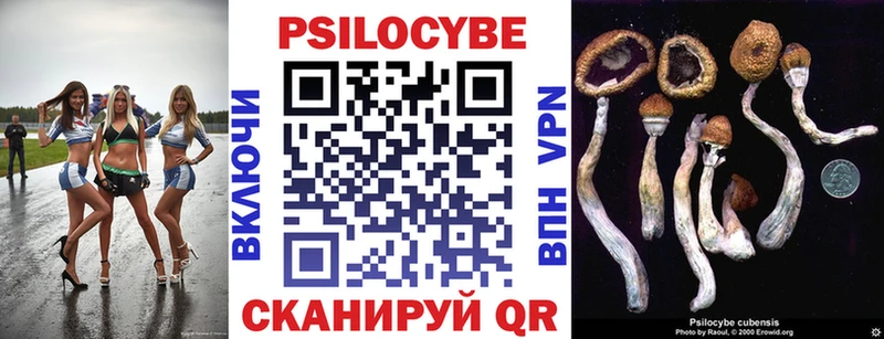 Галлюциногенные грибы Cubensis  Балтийск 